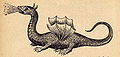 Dragon from Mundus Subterraneus by Athanasius Kircher, 1664.
