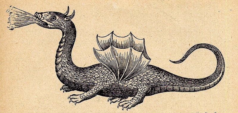 File:Dragon Mundus subterraneus 1665.jpg