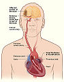Thumbnail for version as of 16:14, 9 December 2010