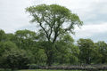 Thumbnail for version as of 06:00, 20 May 2013