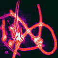 Thumbnail for version as of 05:25, 2 November 2012