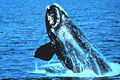 Thumbnail for version as of 02:36, 3 December 2008
