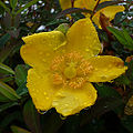 Thumbnail for version as of 04:19, 26 October 2009