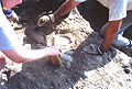 Thumbnail for version as of 07:51, 28 May 2010