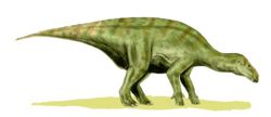 Iguanodon bernissartensis.jpg