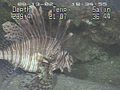Thumbnail for version as of 07:19, 3 December 2008