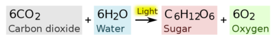Chemical equation for photosynthesis.