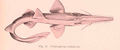 Thumbnail for version as of 23:40, 8 April 2014