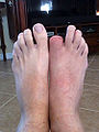 Thumbnail for version as of 08:22, 12 May 2010