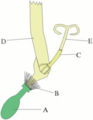 Thumbnail for version as of 00:50, 30 September 2007