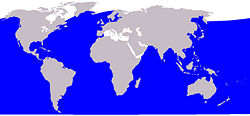 Seiwhale5.jpg