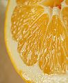 Lemon (Citrus limon)