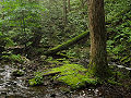 Thumbnail for version as of 01:20, 10 May 2012