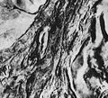 Thumbnail for version as of 01:01, 25 October 2013