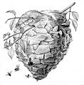 Thumbnail for version as of 23:11, 19 November 2011