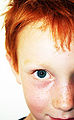 Thumbnail for version as of 05:26, 4 January 2010