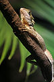 Thumbnail for version as of 02:20, 28 February 2011