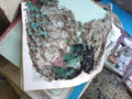 This is the destruction of Termites and what you see is the remains after their passing.