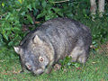 Thumbnail for version as of 04:16, 30 November 2008