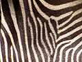 Thumbnail for version as of 03:15, 28 February 2013