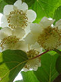 Thumbnail for version as of 18:45, 25 May 2009