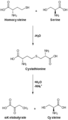 Thumbnail for version as of 16:37, 20 March 2018