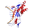 Thumbnail for version as of 17:26, 21 August 2013