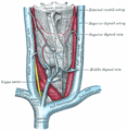 Thumbnail for version as of 20:26, 20 March 2009