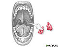Thumbnail for version as of 13:58, 8 March 2010