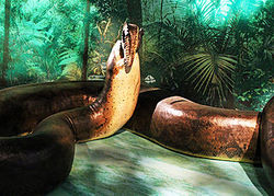 Titanoboa 1 (7684792594).jpg