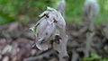 Thumbnail for version as of 06:57, 10 May 2012