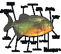 Thumbnail for version as of 19:48, 4 January 2008