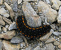 Thumbnail for version as of 16:16, 5 December 2012
