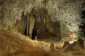 Thumbnail for version as of 13:22, 17 March 2009