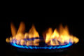 Thumbnail for version as of 09:00, 12 January 2009