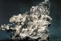 Thumbnail for version as of 07:43, 1 November 2006