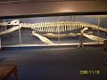 Thumbnail for version as of 06:26, 8 December 2008