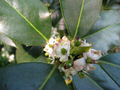 Thumbnail for version as of 03:23, 28 May 2013