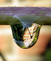 Thumbnail for version as of 17:26, 3 June 2008