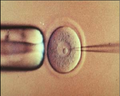 Thumbnail for version as of 00:04, 2 June 2015