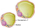 Thumbnail for version as of 23:02, 10 May 2010
