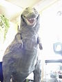 Thumbnail for version as of 23:50, 11 October 2008