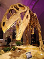 Thumbnail for version as of 06:35, 1 December 2008