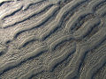 Topography.jpg