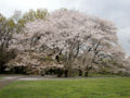 Thumbnail for version as of 16:49, 25 May 2007