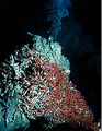 Thumbnail for version as of 19:37, 15 November 2013