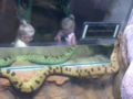 Thumbnail for version as of 18:04, 23 March 2007