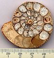 Thumbnail for version as of 12:41, 6 April 2013