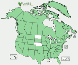 Map of blueberries.png