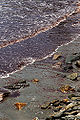 Thumbnail for version as of 02:31, 6 March 2009